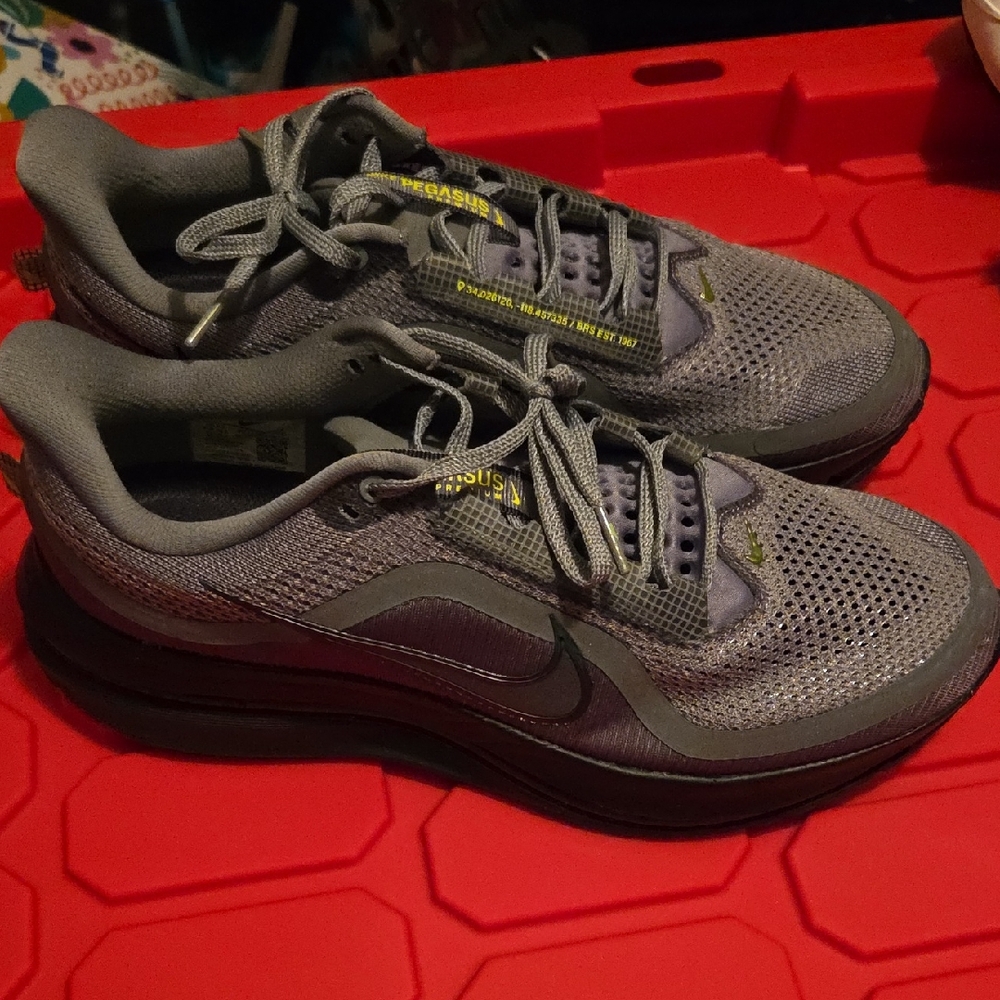 Nike Pegasus Premium